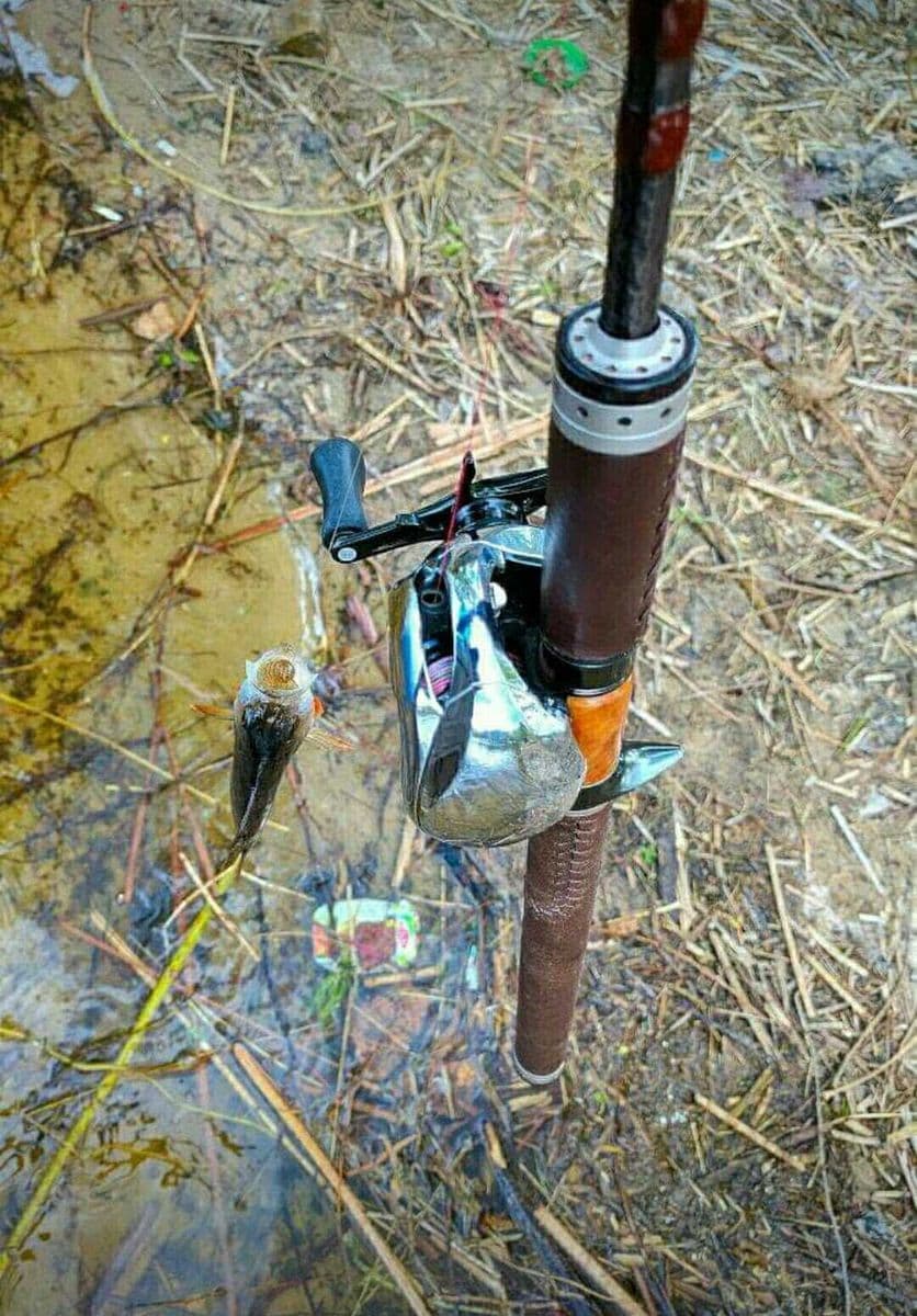 Кастинговий спінінг Shimano Lesath 240, Рівне, Рівненська обл. — фото 5 з 5