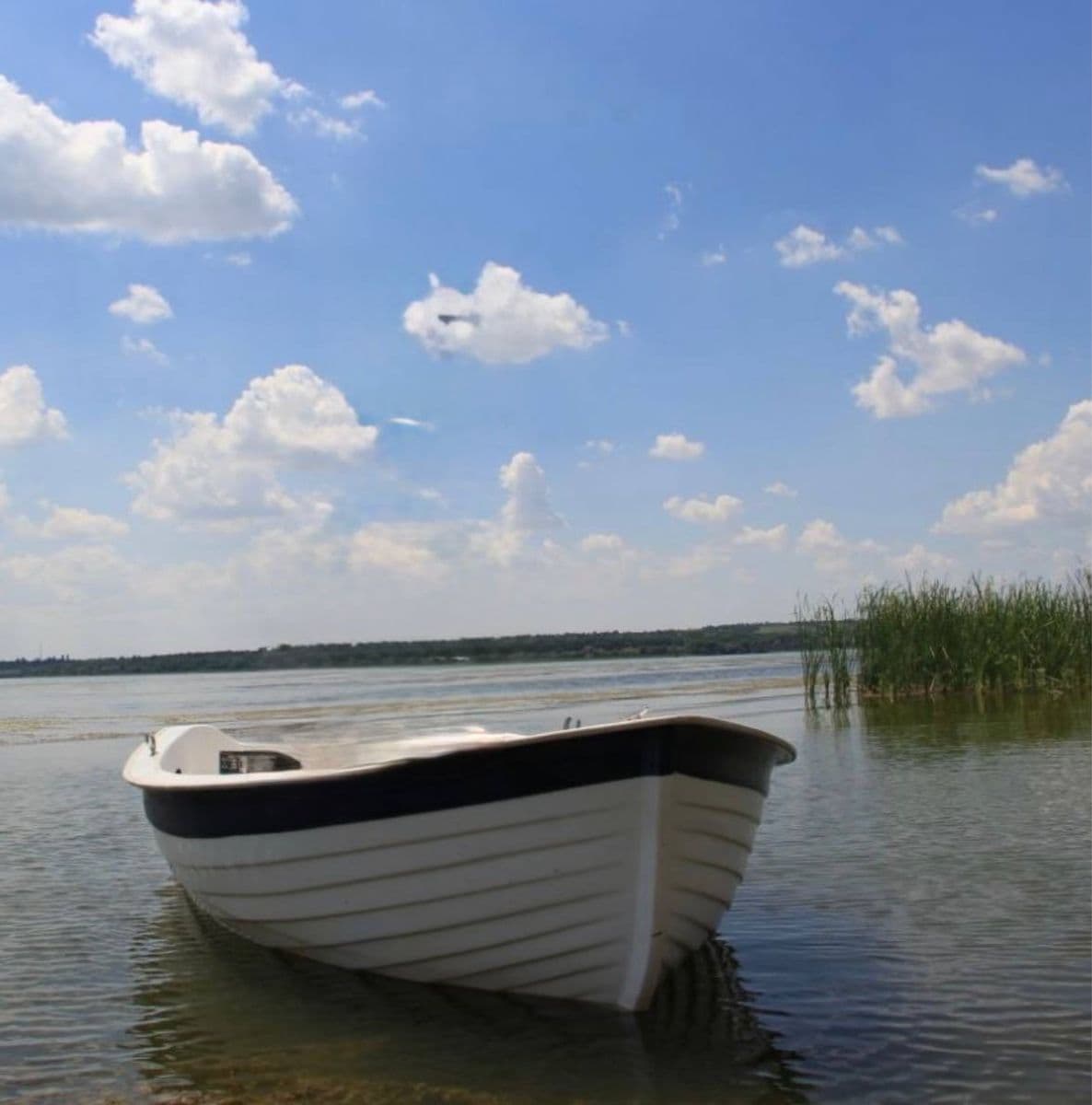 Гребний човен Regatta 310 з веслами, Харків, Харківська обл.