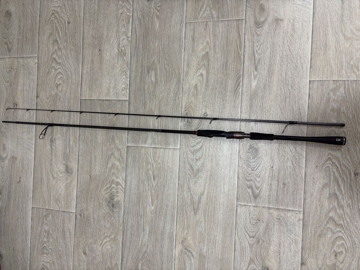 Спінінг Daiwa Tournament AGS 802HFS, Черкаси, Черкаська обл. — фото 2 з 5