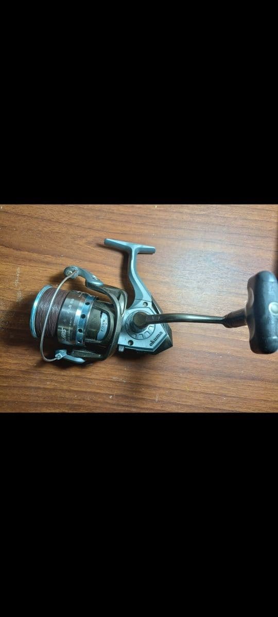 Коропова котушка Okuma, Глухів, Сумська обл.