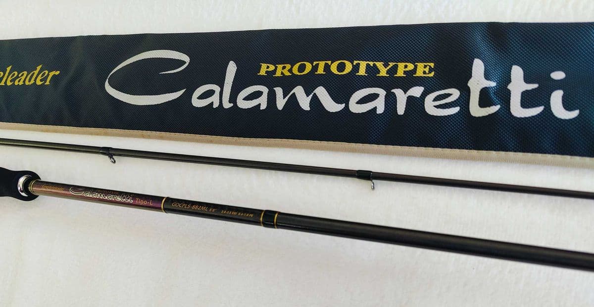 Спінінг Graphiteleader Calamaretti Prototype Tipo-L GOCPLS-882ML, Дубно, Рівненська обл.