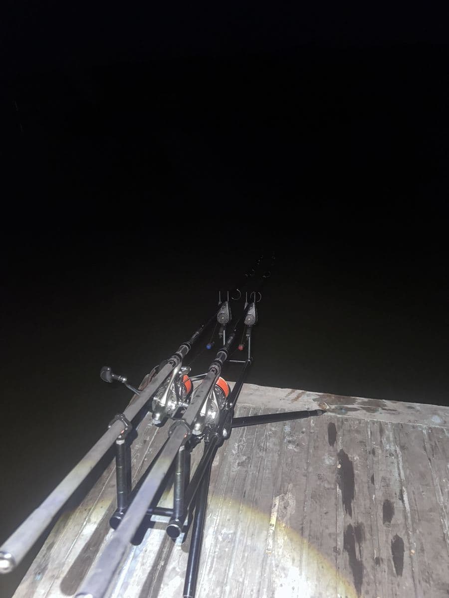 Род-под Carp Pro CPN13105, Жежелів, Вінницька обл. — фото 4 з 4