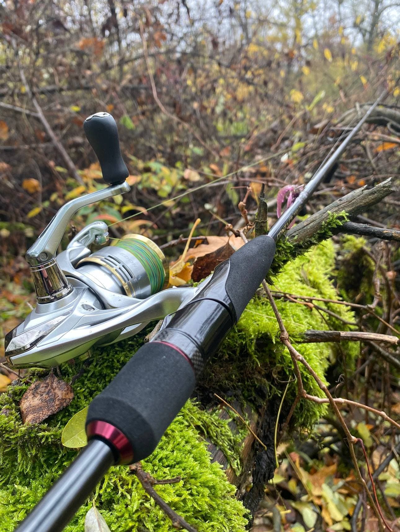 Спінінговий комплект Crazy Fish Contact + Shimano Sedona + шнур YGK, Київ, Київ обл.