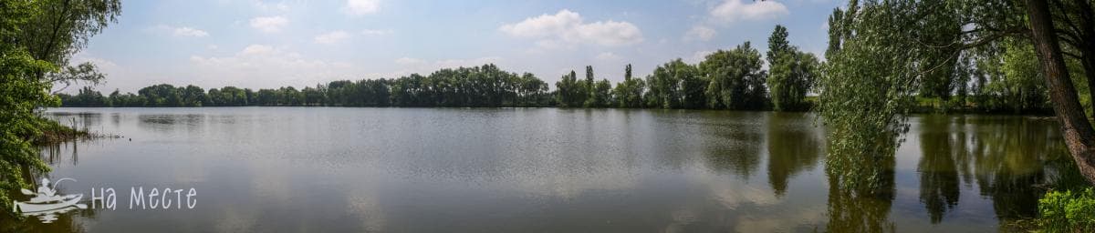 Водойма «Спортивне озеро “Картар”» — місце проведення турніру «Family Carp Cup 2026 (5 етап)»