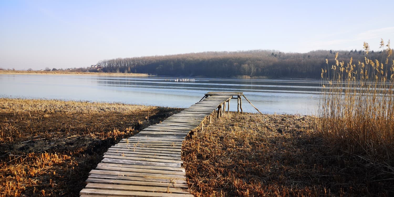 Водойма «Доброгостівське водосховище» — місце проведення турніру «Summer Carp Dobrohostivske Lake»