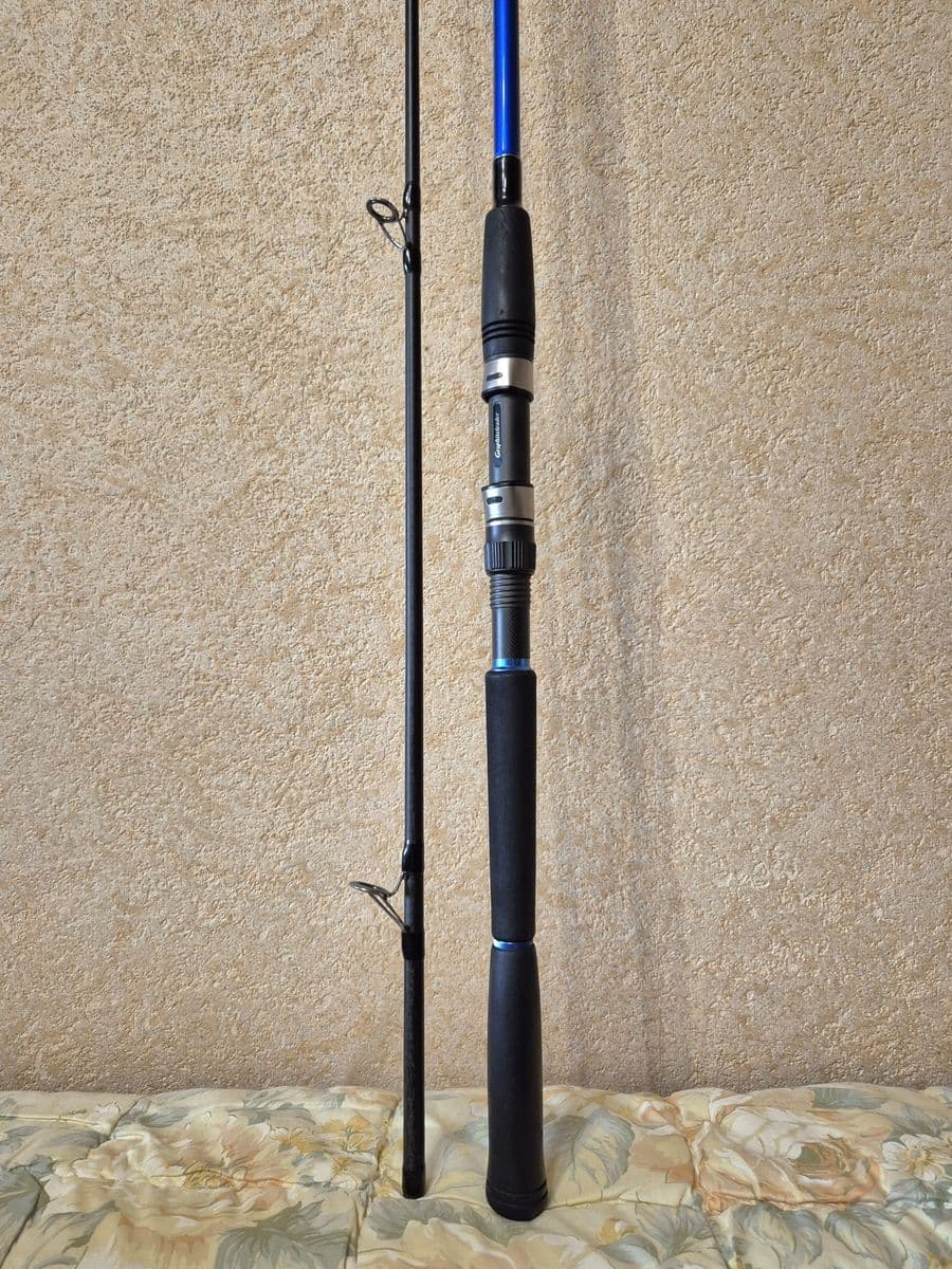 Спінінг Graphiteleader Remoto EX GOREXS-962M, Запоріжжя, Запорізька обл.